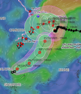 bao-so-15-ngay-28-11